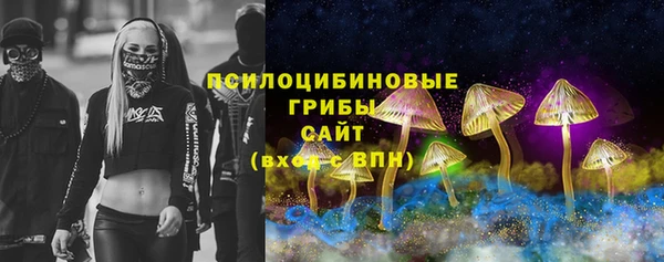 дмт Арсеньев