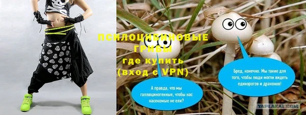 дмт Арсеньев